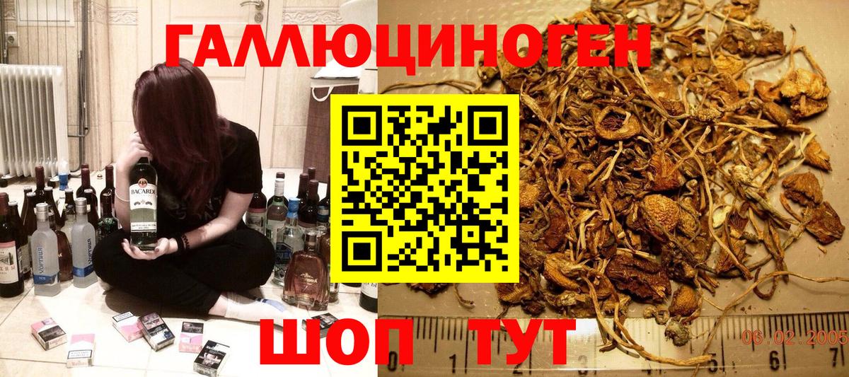 МЕФ Елец
