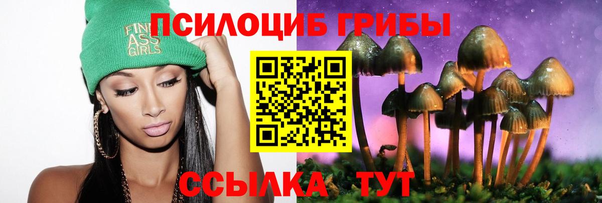 Галлюциногенные грибы мицелий  Галлюциногенные грибы Cubensis  Елец  Вход с VPN 